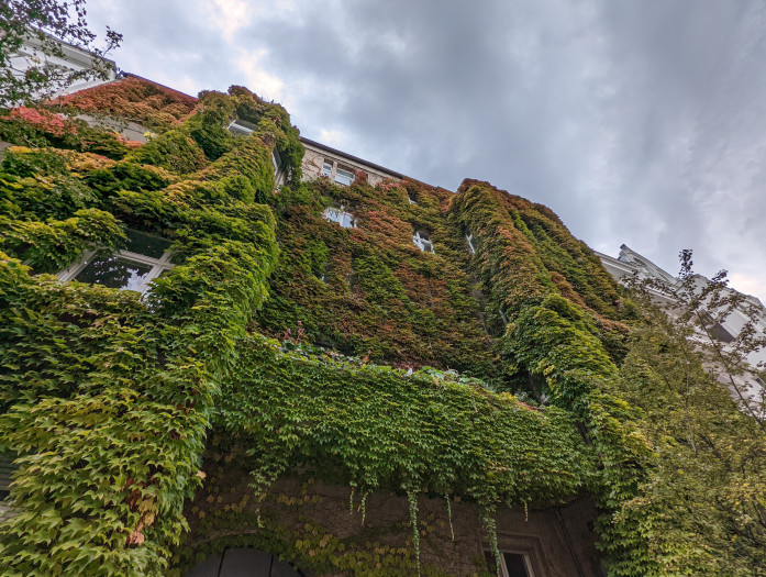 Ein mit der Superweitwinkelkamera des Pixel 6 Pro gemachtes Bild (Bild: Tobias Költzsch/Golem.de)